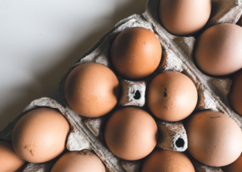 Boer legt uit: “Dit geheime detail op eierdozen vertelt je hoe vers ze écht zijn!”
