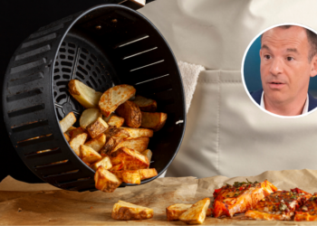 Experts waarschuwen over het gebruik van airfryers in plaats van een oven: “Denk voortaan goed na voordat je meedoet aan een trend”