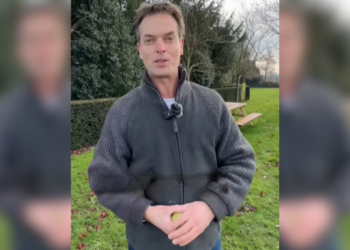 Hondencoach: “Balletjes gooien is slecht voor je hond, stop hier onmiddelijk mee!”