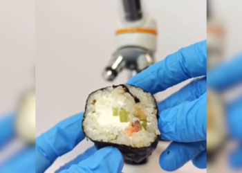 Hou jij van sushi? Nadat je het onder de microscoop hebt gezien eet je het nooit meer!