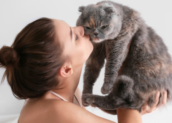 Kattenexperts waarschuwen: “Geef nooit zomaar een kus aan je kat, dit is niet onschuldig”