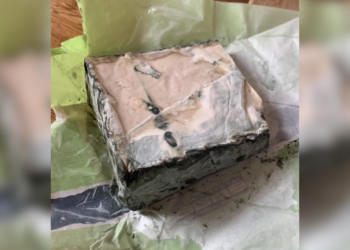 Lidl-klant opent vegan kaas en schrikt: “Hoort dit er echt zo uit te zien?”