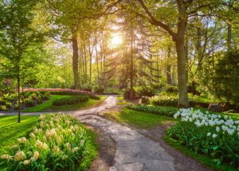 Weerexpert slaat alarm: “Misschien nog 25 graden in februari.. Dat is een alarmerend teken”