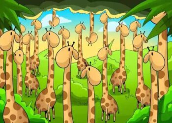 Kun jij de slang vinden tussen de giraffen? 99% faalt deze visuele uitdaging!