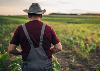 Boer Jan (58): “Als de overheid niks doet, jaag ik die wolf zelf van mijn erf”