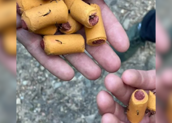 Gevaar op populair wandelpad: hondensnoepjes gevuld met vishaken