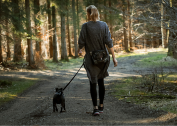 Hondenbezitters opgelet: Dít is waarom je je hond aan de lijn moet houden in de natuur