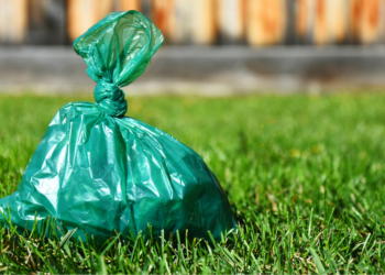 Hondeneigenaren opgelet! Zóveel betaal je nu als je zonder opruimzakje betrapt wordt