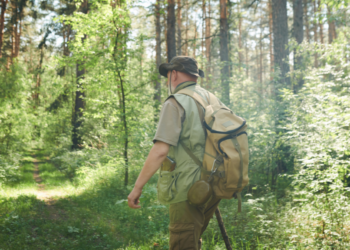 Ophef! Boswachter spreekt zich uit: “Niet de wolf, maar de mens moet zich aanpassen!”