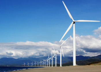 Trap er niet in! Zó worden we massaal misleid door ‘groene’ producten