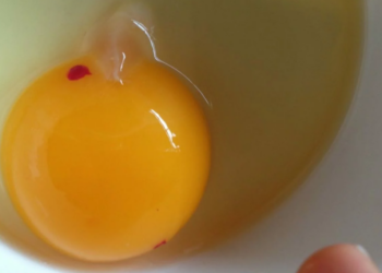 WAARSCHUWING: Dit betekent dat mysterieuze rode stipje in je ei!