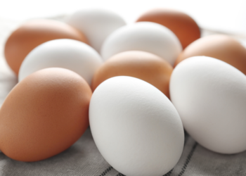 Wat is beter: eieren met bruine of witte schaal? Dit zegt de wetenschap