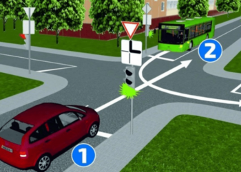 Verkeersdeskundigen verbaasd: Slechts 1 op de 5 mensen lost dit goed op!