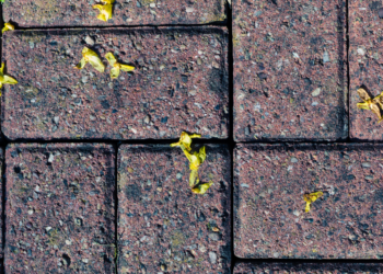 Groene aanslag op je tegels? Met dit keukenkastje-middeltje is het zo weg! (Werkt écht)