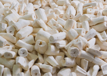 Jaarlijks sterven honderden mensen door dit voedsel, maar wereldwijd blijven mensen het massaal eten!