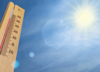 KNMI waarschuwt voor ongewoon tropisch zomerweer: “Heel warm voor tijd van het jaar”