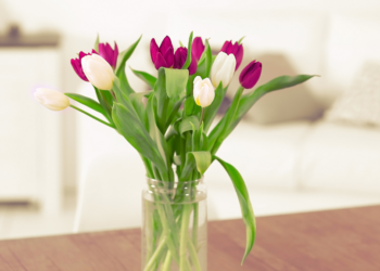 Nooit meer hangende tulpen met deze simpele truc! (Werkt écht)