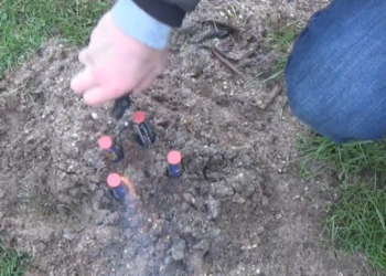 Vuurwerkverbod? Frank blijft het doen: “We mogen niks meer in dit land!”