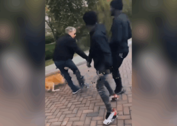 Lafaards! Jongeren vallen oude man aan terwijl hij gewoon zijn hond uitlaat