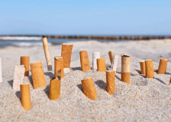 Frankrijk verbiedt roken op stranden en in parken
