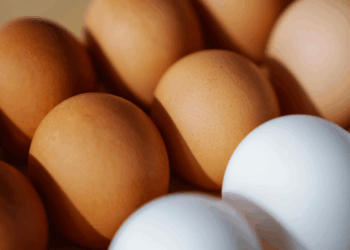 Let op! Zie je deze groene cirkel rond eieren? Dít betekent het!