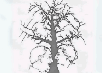 Maar heel weinig mensen kunnen alle verborgen gezichten vinden in deze optische illusie