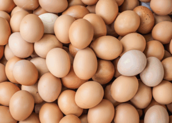 Nederlanders eten meer dan 200 eitjes per jaar: “Aantal blijft maar stijgen”