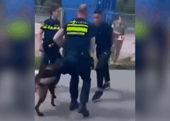 Agent is er klaar mee: Straatventje daagt agent uit en krijgt precies wat hij verdient