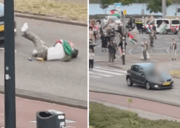 Kameel bijt hoofd van baasje eraf aan na urenlange verwaarlozing in extreme hitte