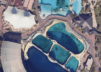 VIDEO: Dronebeelden tonen hartverscheurende situatie van gestrande orka’s in een gesloten en verwaarloosd waterpark