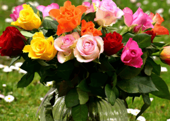 Waarschuwing! Ben je van plan om een bosje bloemen voor Moederdag te kopen? Pas op voor gevaarlijke stoffen