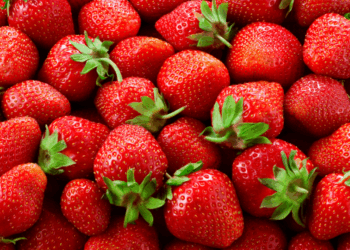 Waarschuwing! Koop géén frambozen of aardbeien als je ze in de supermarkt ziet liggen!