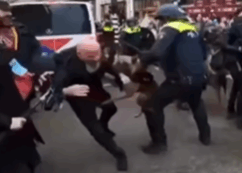Agent onder vuur na inzet politiehond tegen demonstrant: “kijk wat hij doet met z’n hond!”