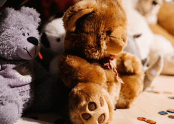 Dieven van knuffels Jeffrey en Emma vinden het een ‘goeie grap’: Dit is hun straf