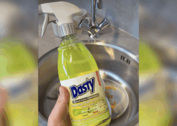 Dit is wat je allemaal met de Dasty van de Wibra kunt (en het is meer dan je denkt)