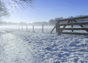 KNMI slaat alarm: “Nederland moet zich opmaken voor een extreem koude winter”
