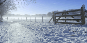 KNMI slaat alarm: “Nederland moet zich opmaken voor een extreem koude winter”