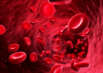 Studie onthuld: Er is één bloedtype met het minder risico op kanker