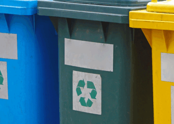 Zo kom je eenvoudig van die stinkende geur en maden in de groene container af