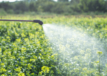 Zorgwekkend onderzoek: glyfosaat blijkt kankerverwekkend (en híerin zit het)