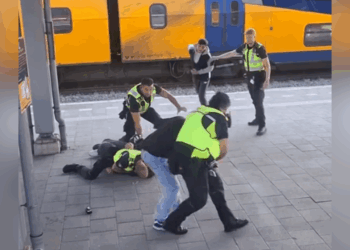 Volle chaos op station Zwolle: gastjes flippen als ze worden aangepakt