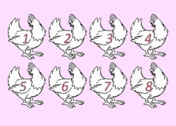 Alleen slimme mensen zien het.. Welke kip is anders?