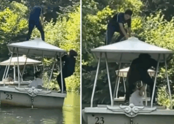 Asociaal gedrag in De Efteling: bezoekers klimmen op bootjes alsof het speelgoed is (video)