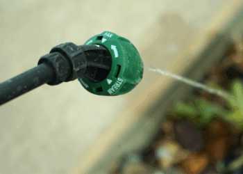 Zo simpel kan het zijn: met deze simpele truc ben je in no-time van je onkruid af