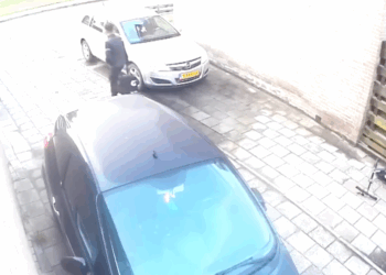 Ophef in Ter Apel: asielzoekers worden nu eigenhandig aangepakt door burgerwacht