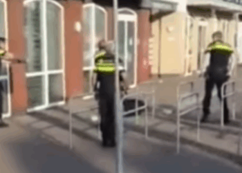VIDEO: Man luistert niet naar politie en leert de taser kennen