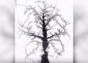 Zie jij álle gezichten in deze boom? De meeste mensen missen er minstens één