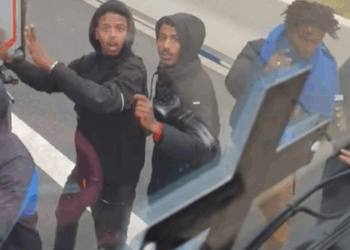 Migranten proberen Nederlandse vrachtwagen binnen te komen op Europese snelweg