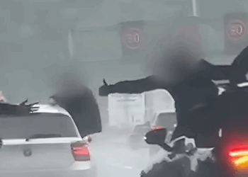 Complete chaos: trouwstoet zet snelweg op stelten en heeft lak aan de regels