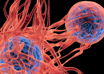 Kanker kan mogelijk terugkeren door corona: hoe zit dat precies?